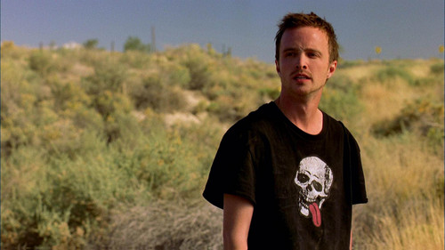 Jesse Pinkman - Jesse Pinkman Photo (36578514) - Fanpop