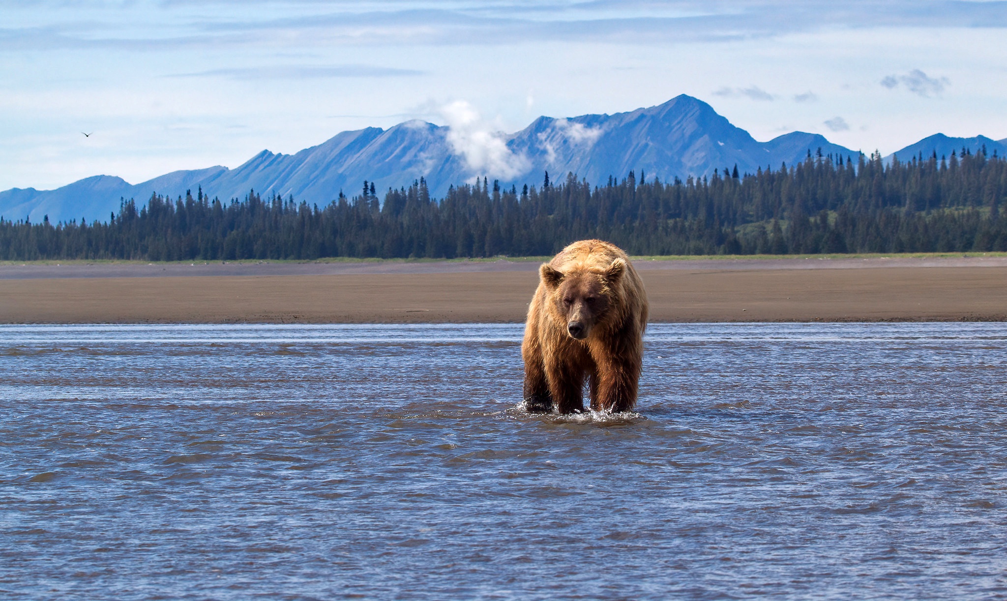 80+ Alaska Fonds d'écran HD et Images