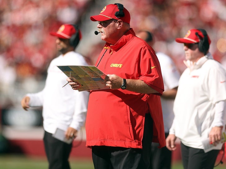 Andy Reid On The Sidelines 10