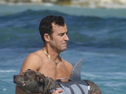 Justin Theroux Beach Dog Shark Life jacket Photos 9