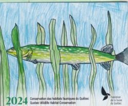 QUEBEC WILDLIFE HABITAT CONSERVATION (JUNIOR) -  2024 