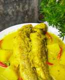 Ikan Gulai Malaysia