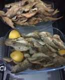 Egyptian fried fish