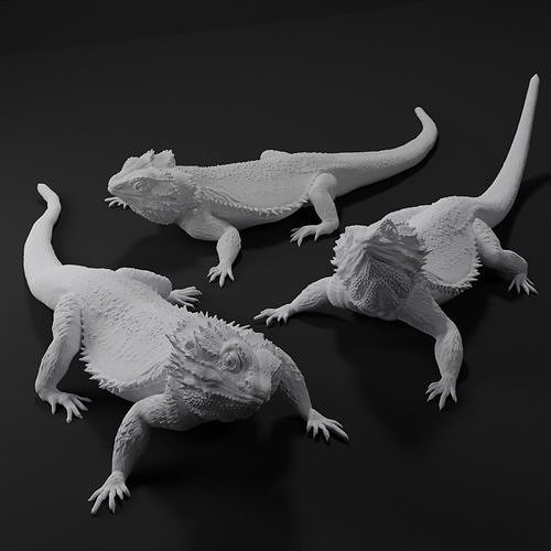 Bearded Dragon Realistic Lizard 3d print model 3D print model