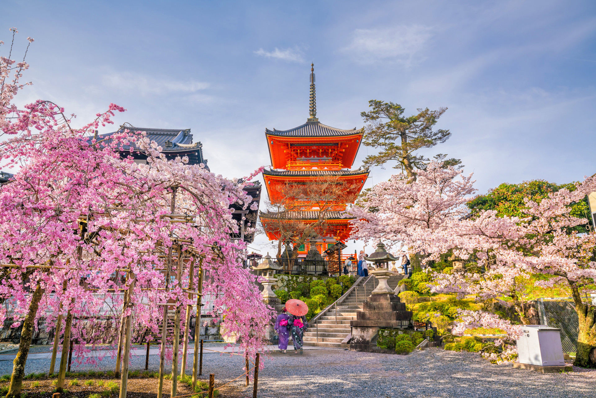 The beauty of spring around the world