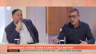 Imatge de:Qui serà el nou president d'Esquerra? El cara a cara decisiu entre Junqueras i Godàs