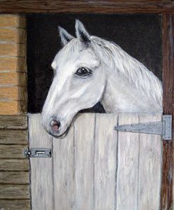 Horse in Stable (watercolour)