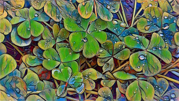 Clovers with rain drops - WallArtOfMio