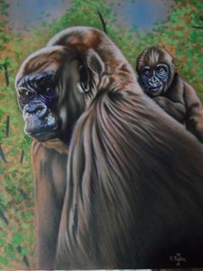 Gorillas