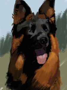 German Shepherd