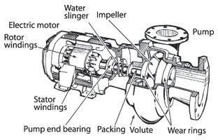 Overhauling Centrifugal Pumps - Procedure to Dismantle and Inspect ...