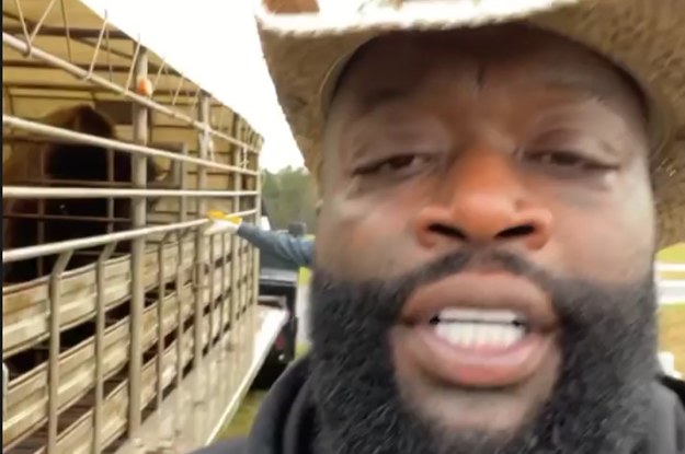 Rick Ross Was Gifted Two Buffaloes for His Georgia Ranch | Complex