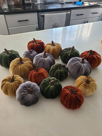 reviewer photo showing all 16 pumpkins on counter