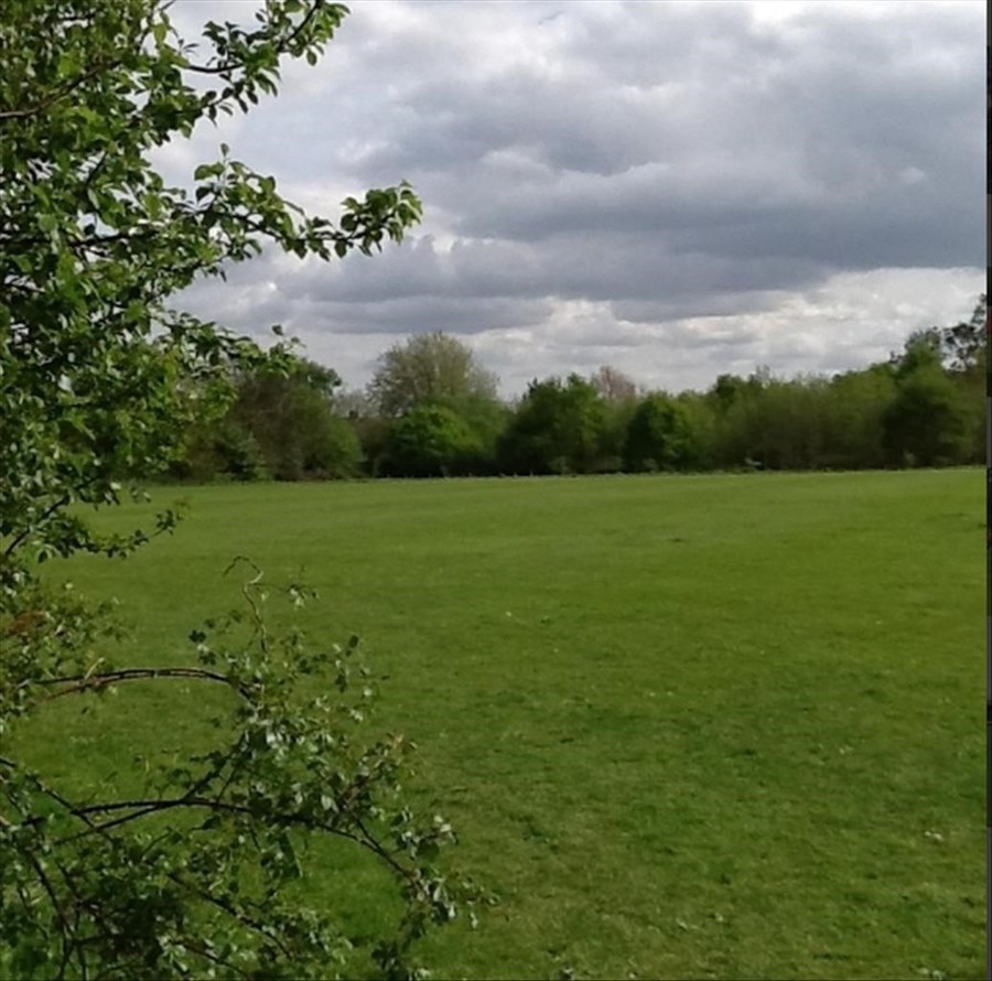 Capel Manor Primary School - Our School