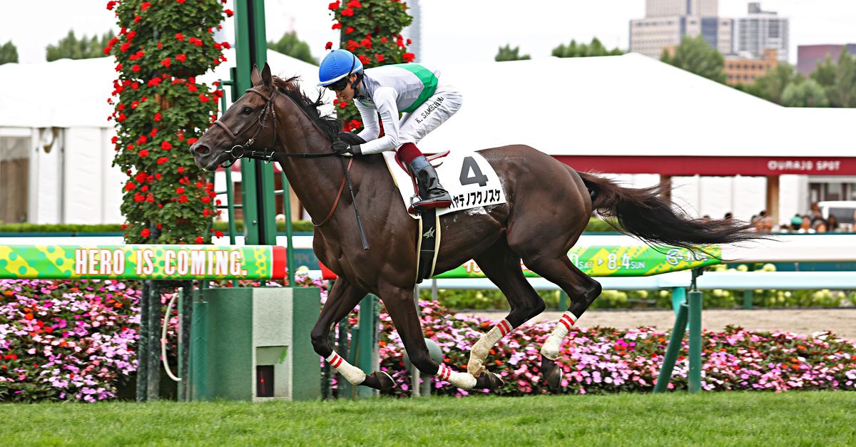 夏場の下位クラスのレースで圧勝し、菊花賞出走に望みをつなげたハヤテノフクノスケ（8月4日、札幌競馬場＝JRA提供）