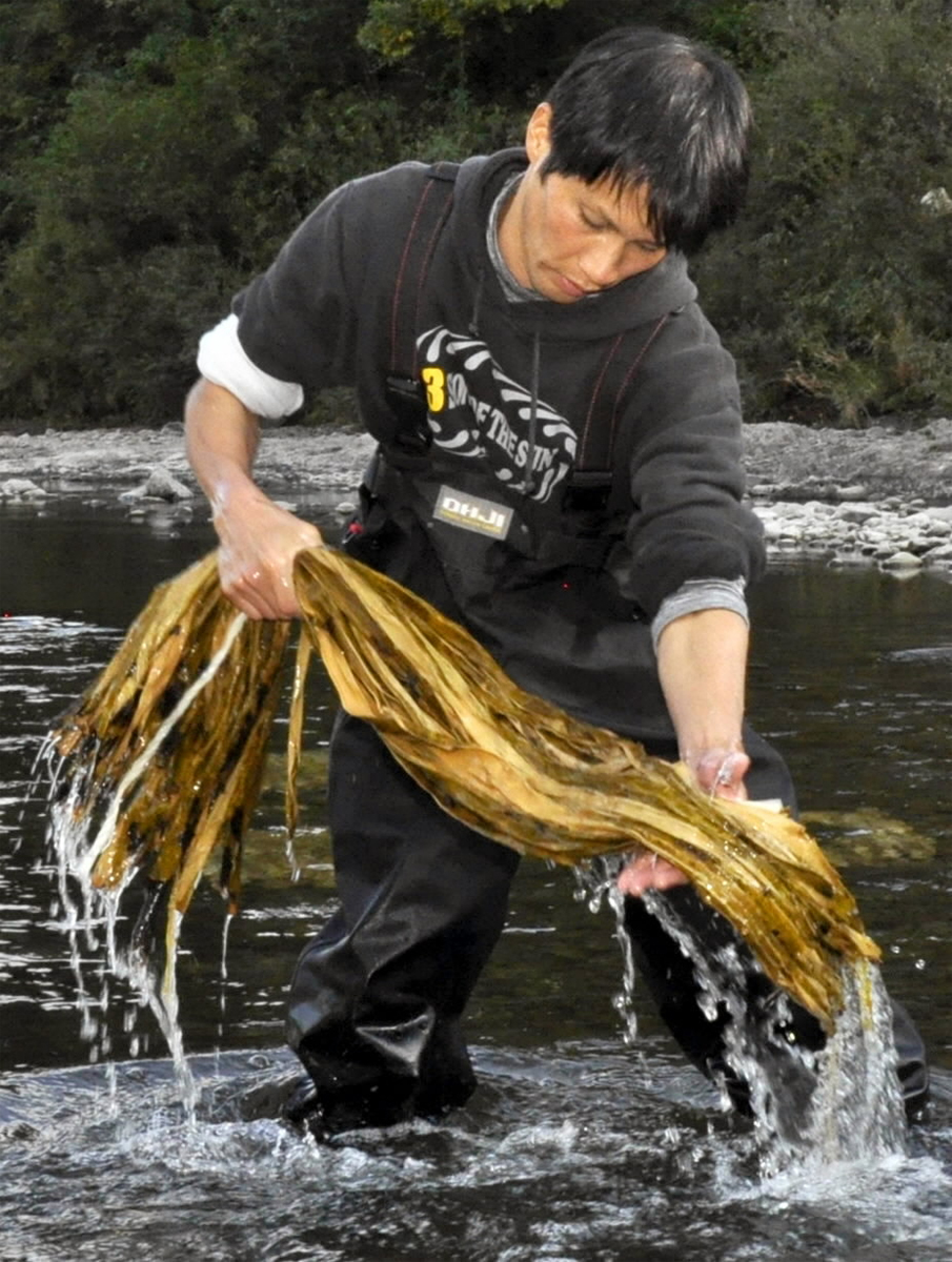 大釜で煮た楮を四万十川の流れで勢いよく洗う（四万十町大井川）