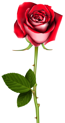 Free clip art of roses, Download Free clip art of roses png images ...