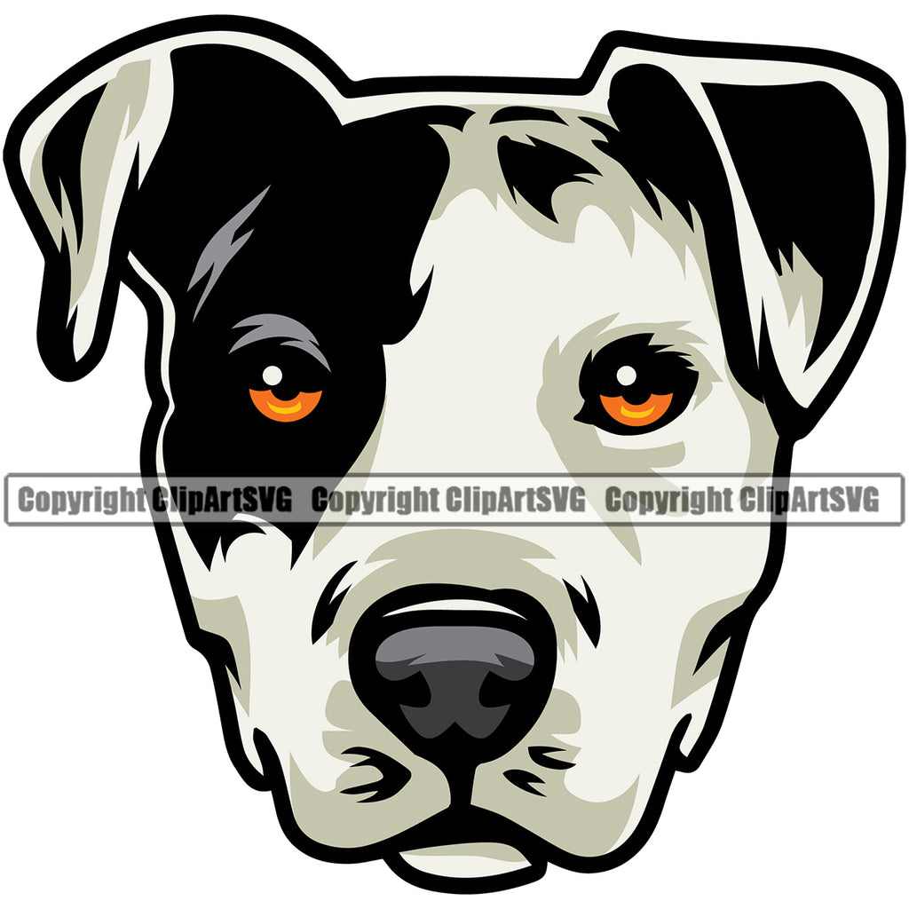 Free clip pitbull head, Download Free clip pitbull head png images ...