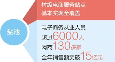 数字赋能激发产业活力，宁夏盐池—— 数商兴农助力乡村蝶变（经济新方位·县域经济观察） - 西部网（陕西新闻网）