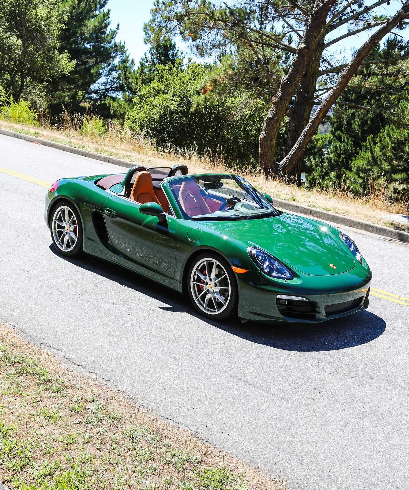 Discover 50+ images british racing green porsche 911 - In.thptnganamst ...