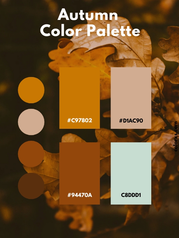 Autumn Color Palette