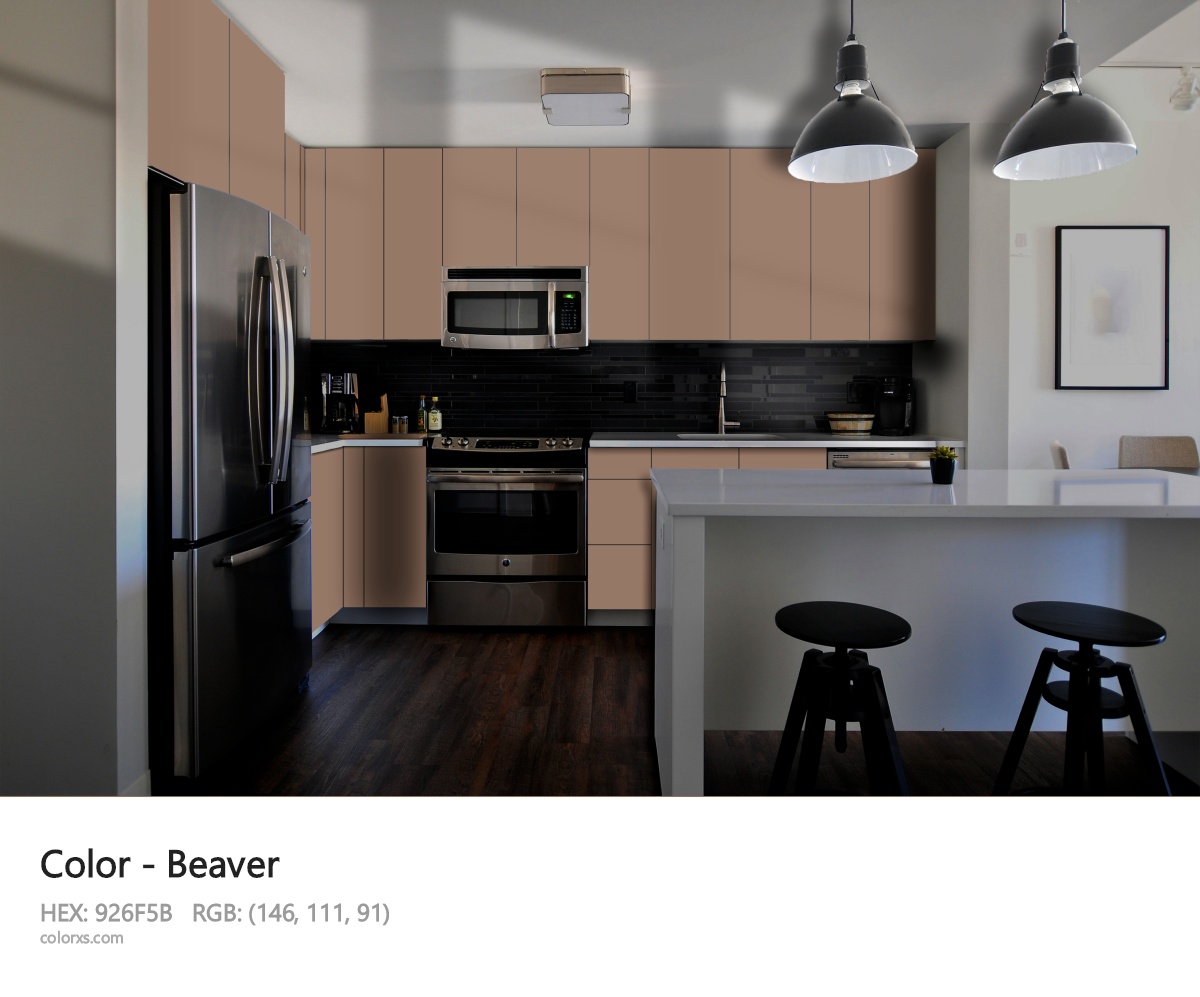 Beaver Color modular kitchen design