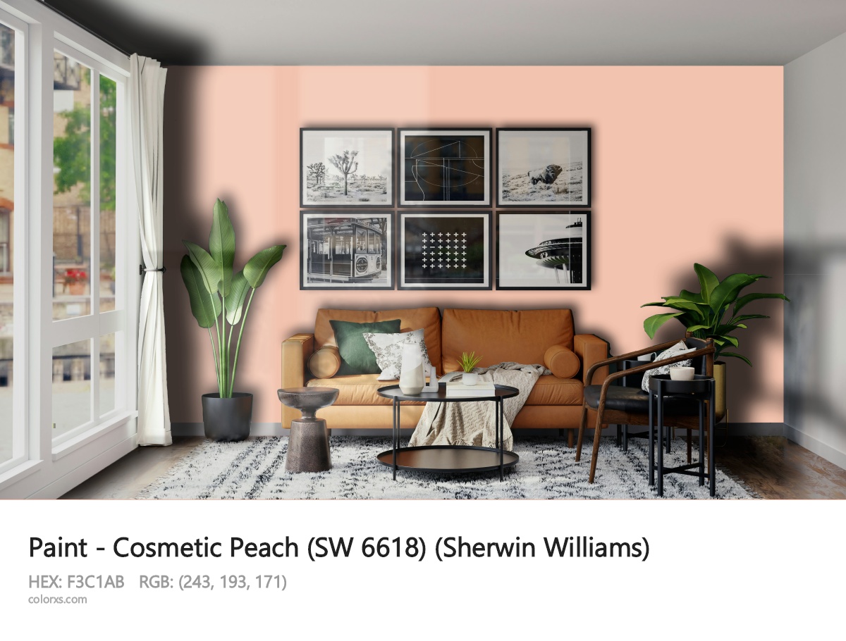 Sherwin Williams Cosmetic Peach (SW 6618) Paint modern minimalist living room interior