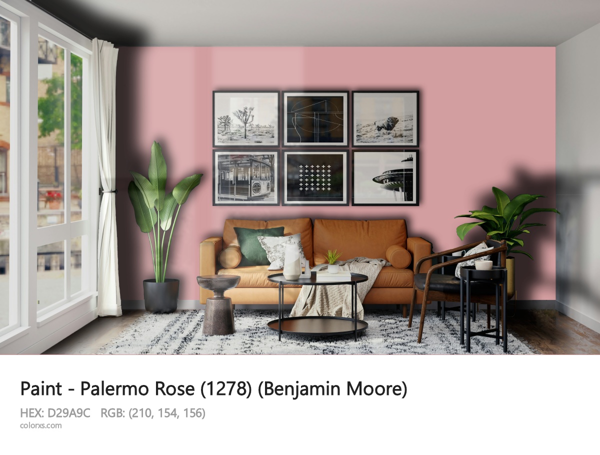 Benjamin Moore Palermo Rose (1278) Paint modern minimalist living room interior