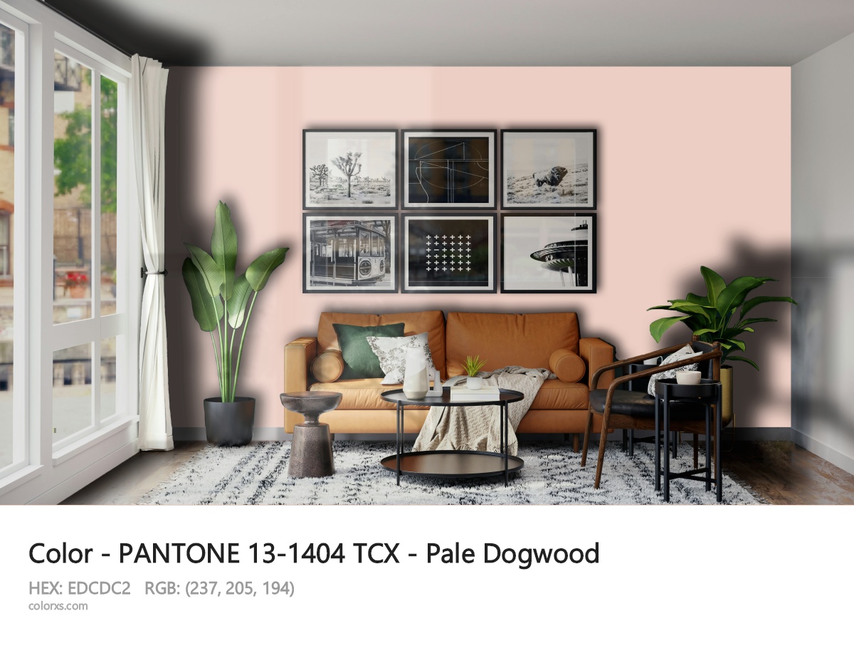 About PANTONE 13-1404 TCX - Pale Dogwood color - its meaning and example