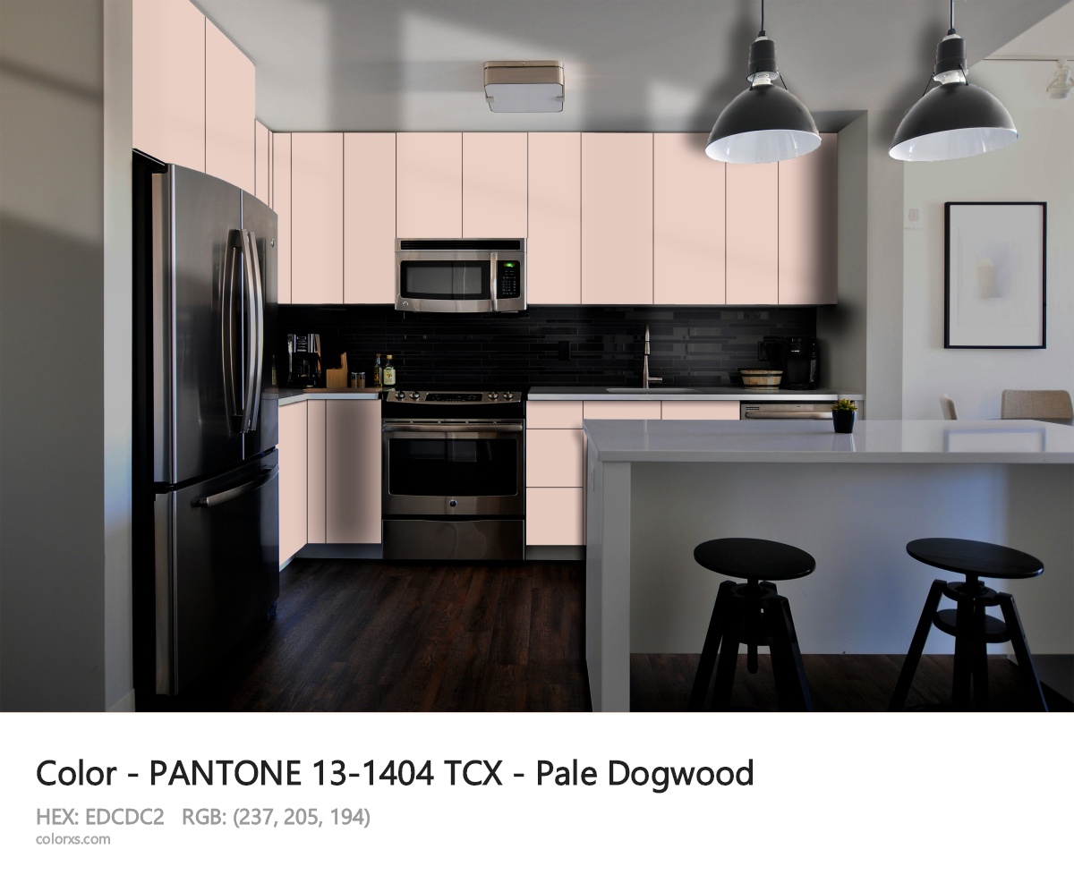 PANTONE 13-1404 TCX - Pale Dogwood CMS modular kitchen design