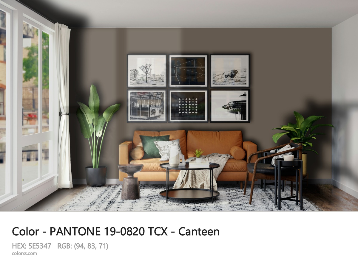 PANTONE 19-0820 TCX - Canteen CMS modern minimalist living room interior