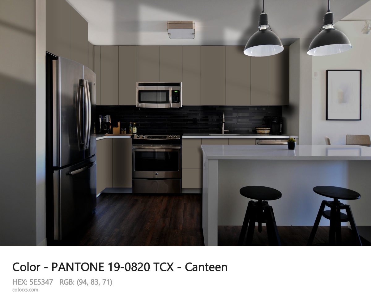 PANTONE 19-0820 TCX - Canteen CMS modular kitchen design