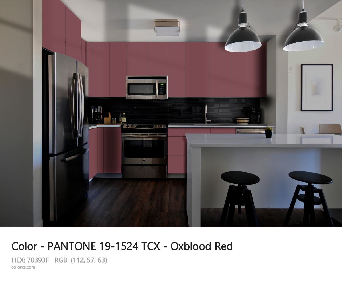 PANTONE 19-1524 TCX - Oxblood Red CMS modular kitchen design