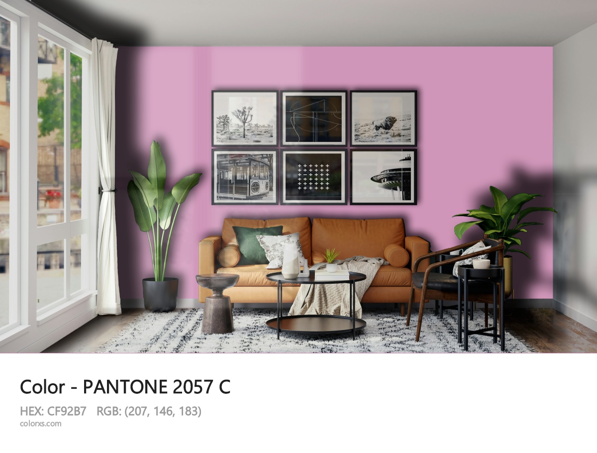 About PANTONE 2057 C color - its meaning and example