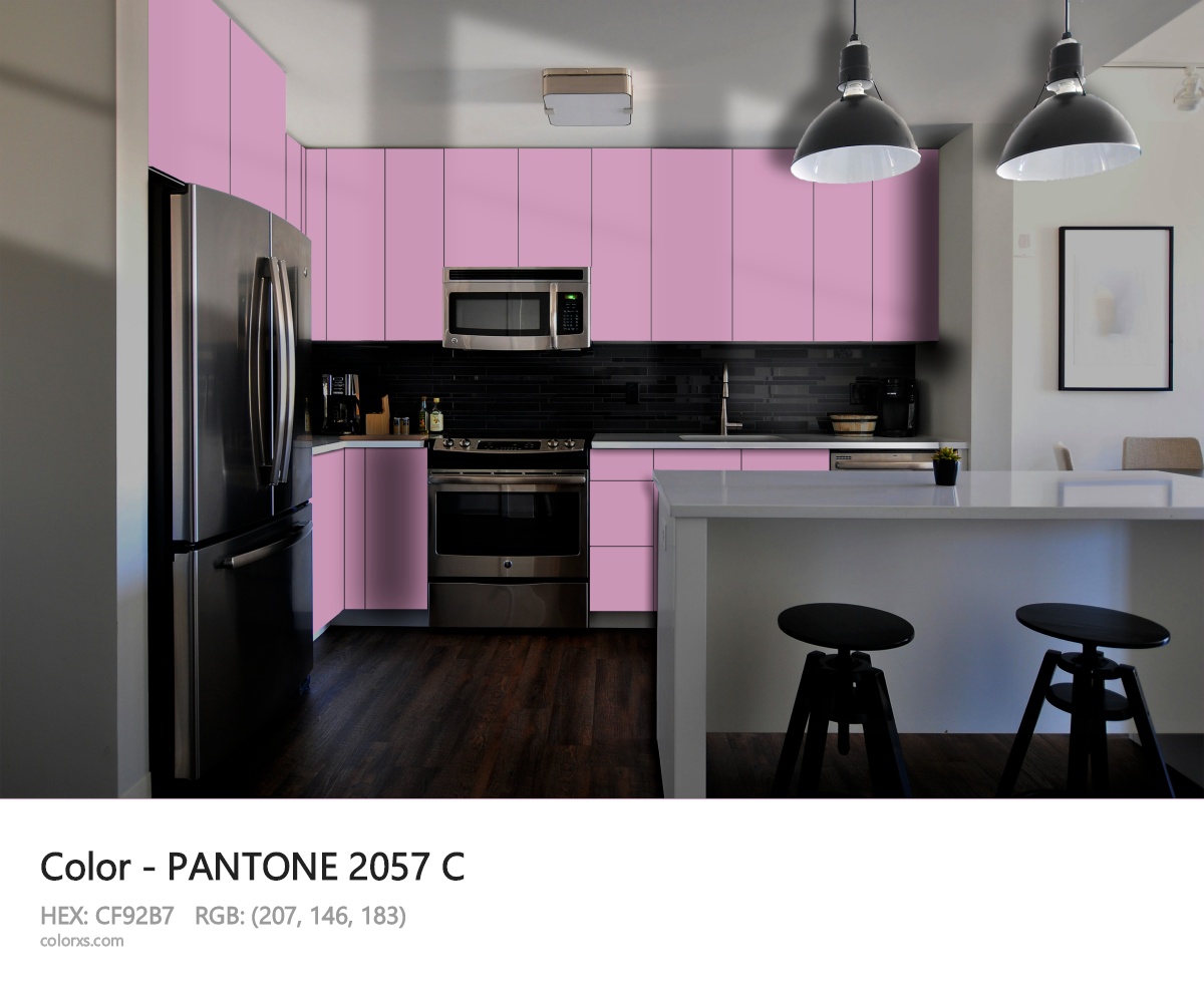 PANTONE 2057 C CMS modular kitchen design