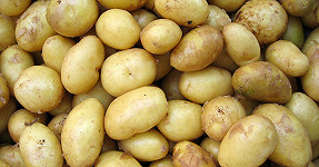 pommes de terre