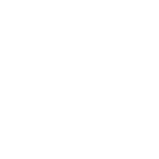 faq ico