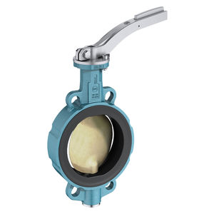 butterfly valve