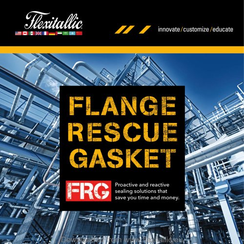 Flange Rescue Gasket