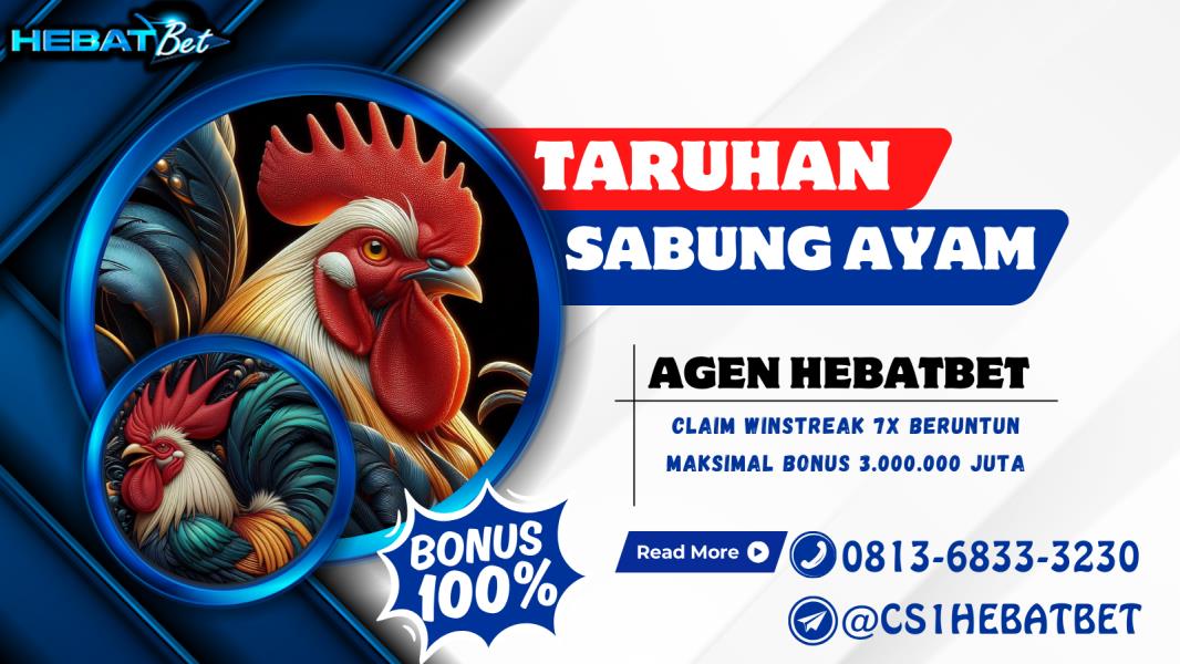 SABUNG AYAM CS1HB