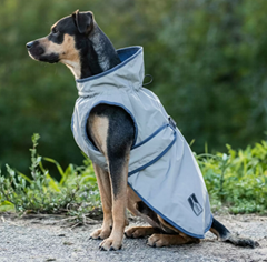 Safety First reflex dog coat