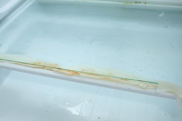 wet paper towels soaking up stains in refrigerator