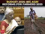 Budget 2025: FM announces agri reforms for 1.7 crore farmers, 6-year pulse self-reliance mission