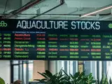 Aquaculture stocks jump up to 12% as FM Sitharaman announces fisheries sector boost in Budget 2025