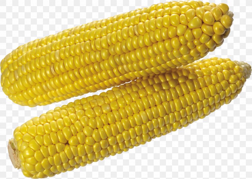 Corn On The Cob Maize Clip Art, PNG, 3505x2498px, Corn On The Cob, Commodity, Corn Kernels, Corn Stover, Dent Corn Download Free