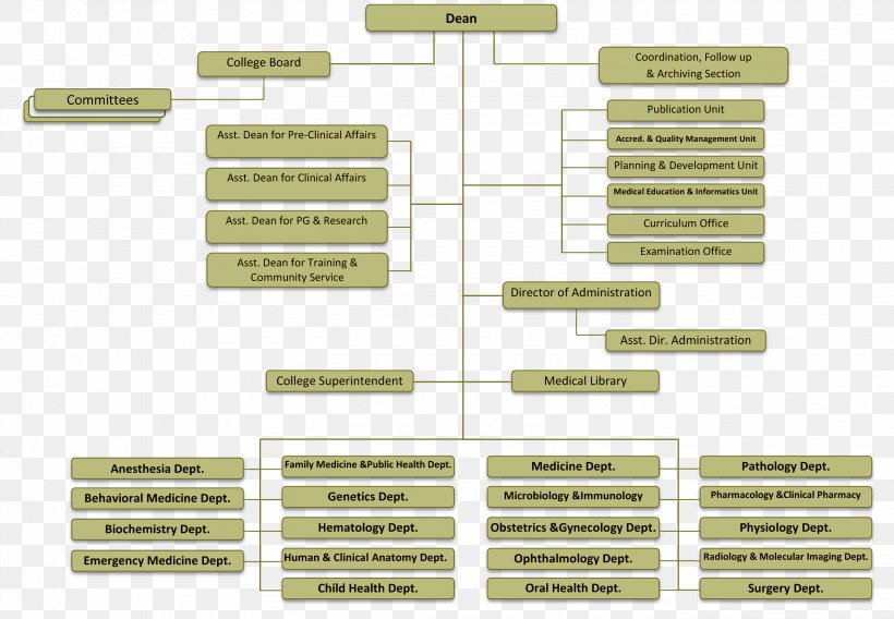 Health Department Organizational Chart