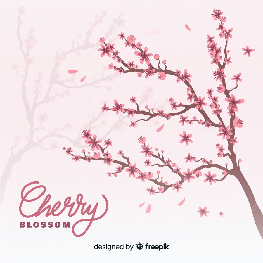 Free Vector | Cherry blossom background