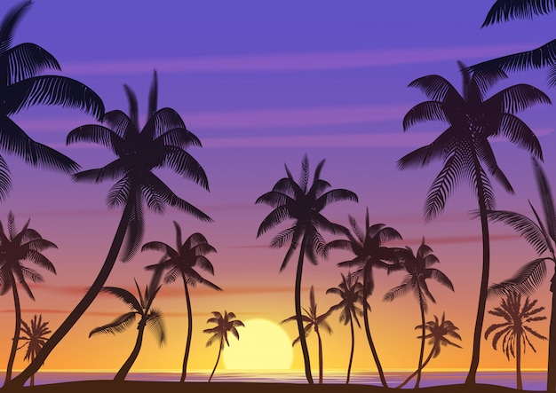 Free Vector | Tropical coconut palm tree illustration