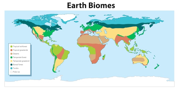 World Wetlands Map Vectors & Illustrations for Free Download | Freepik