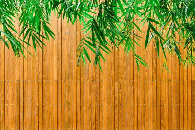 Green Bamboo Images - Free Download on Freepik